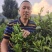 明日见，沃柑，爱媛38，不知火，春见，碰柑苗规格齐全