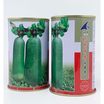 紫芽青水果萝卜种子青皮青肉生吃甜脆原装发货包邮