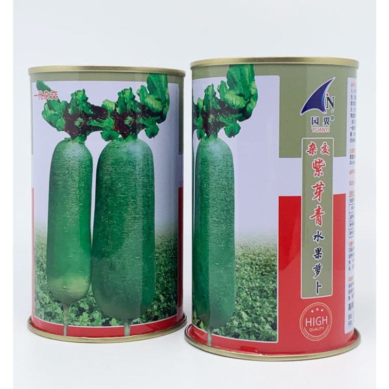 紫芽青水果萝卜种子青皮青肉生吃甜脆原装发货包邮