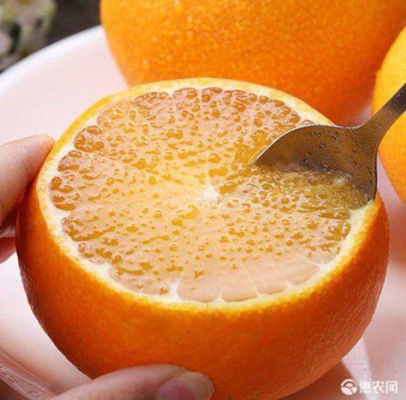 爱缓38号果冻橙:产地直供，纯甜化渣，果肉细腻。