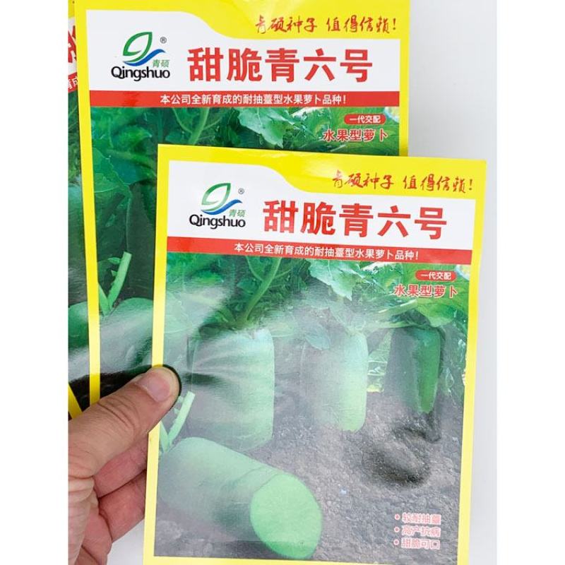 紫芽青水果萝卜种子青皮青肉生吃甜脆原装发货包邮