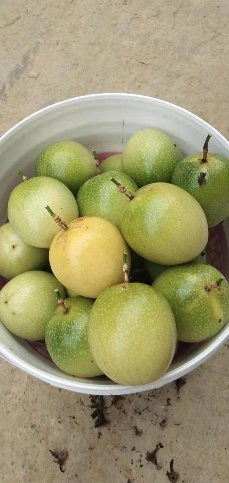 芭乐味黄金百香果