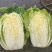黄心大白菜，456斤大面积上市