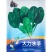 大力水手黑冠军菠菜种子黑圆叶耐寒直立红根菠菜种子原装
