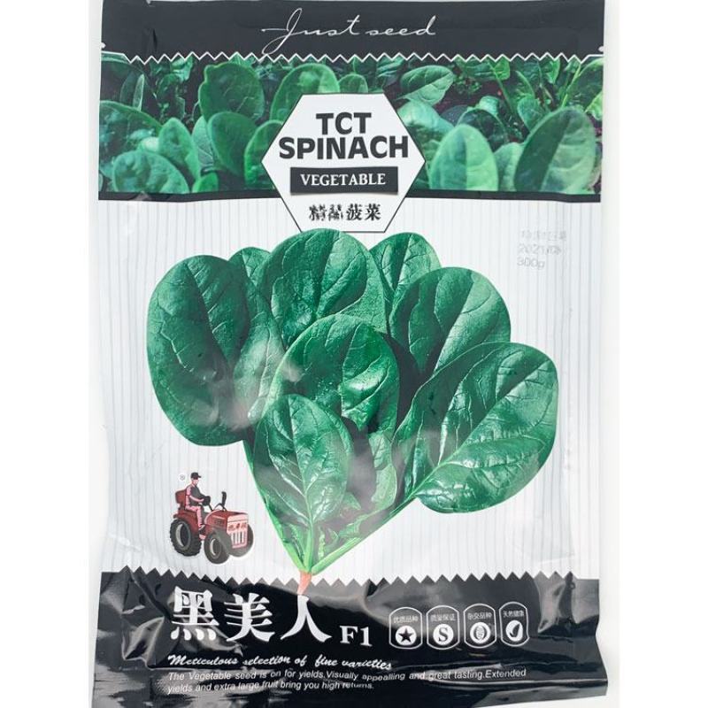 大力水手黑冠军菠菜种子黑圆叶耐寒直立红根菠菜种子原装