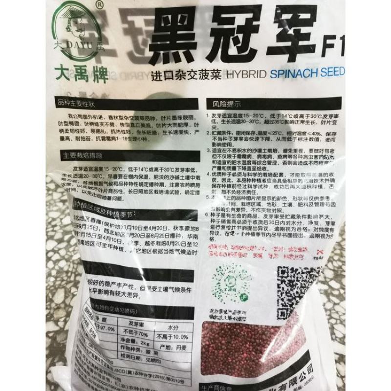 大力水手黑冠军菠菜种子黑圆叶耐寒直立红根菠菜种子原装