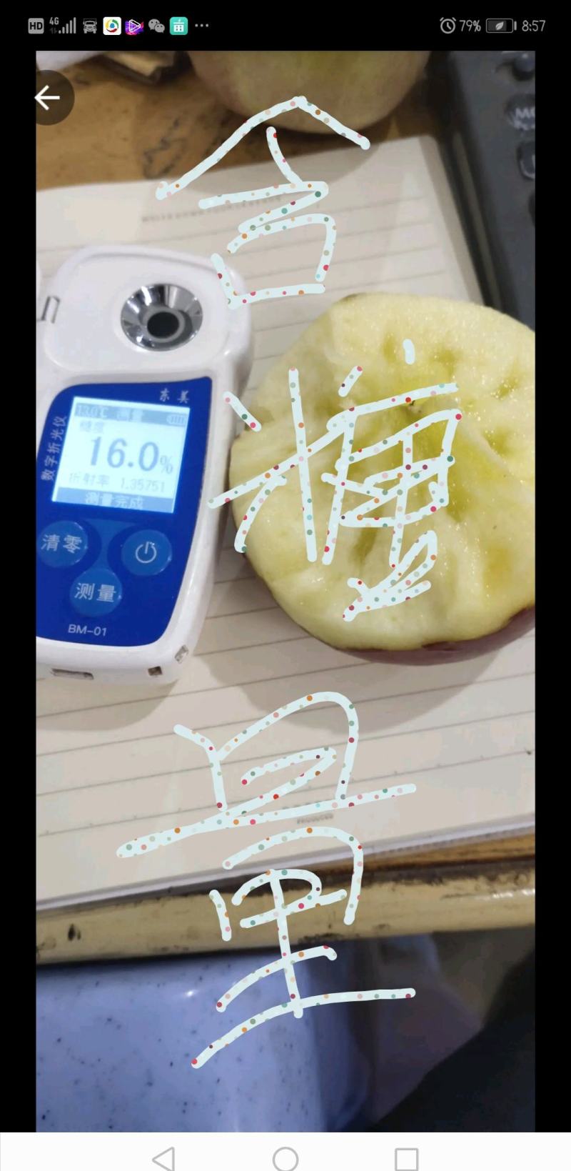 早熟红露丑苹果