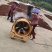 大红八角，新货纯干无硫水汤大红八角，个头大，无碎片电联