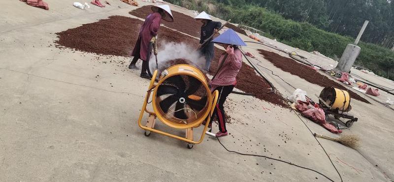 大红八角，新货纯干无硫水汤大红八角，个头大，无碎片电联
