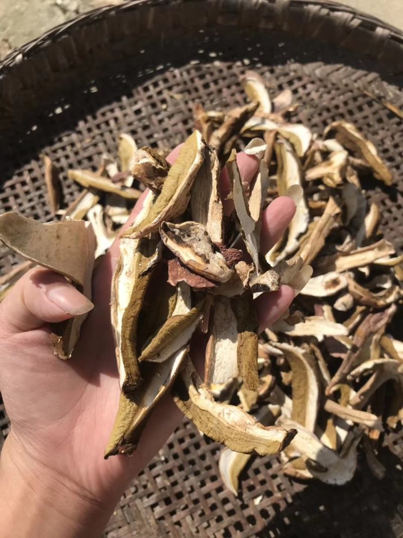 牛肝菌批发走量，野生白牛肝菌。味香干度好