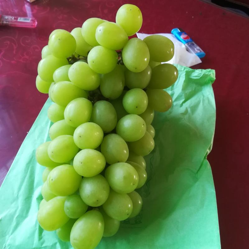 阳光玫瑰葡萄