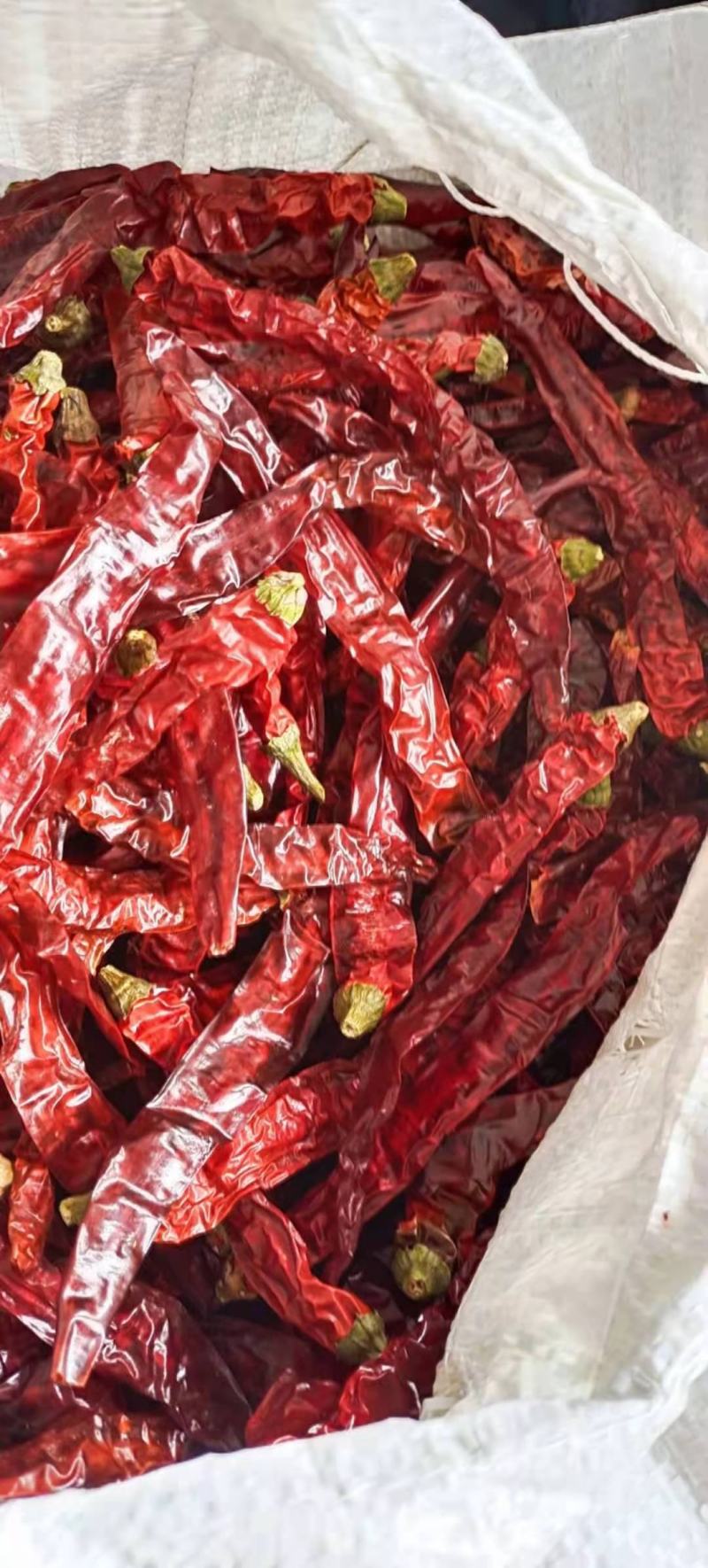 贵州特产香辣二荆条直皮干辣椒批发调味香辛料散装批发