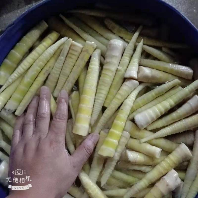 笋尖