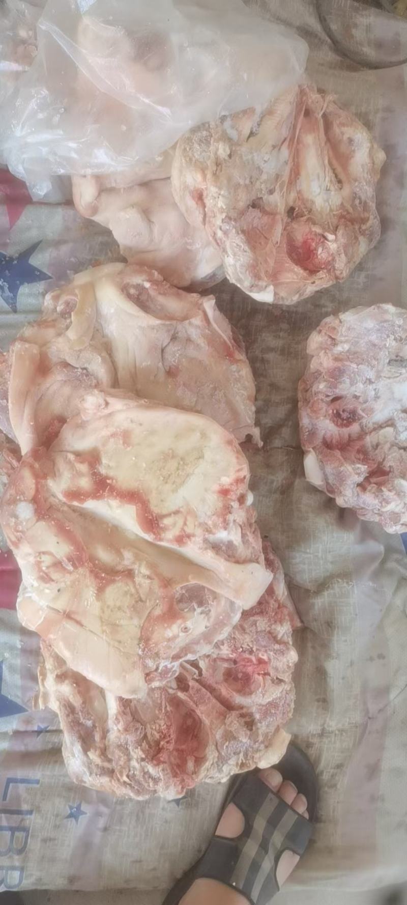 肥猪无耳劈半猪头，手续齐全，品质保证，货源充足
