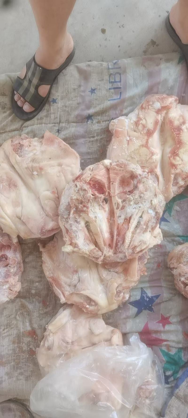 肥猪无耳劈半猪头，手续齐全，品质保证，货源充足