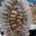 A180进口盐焗腰果炭烧腰果21年新货可按需包装