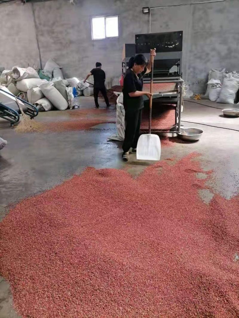 实图精品包邮花椒韩城大红袍陕西韩城大红袍产地直供