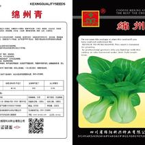 小青菜种籽正宗上海青种子冬季籽种子四季油莱秋季绵州青