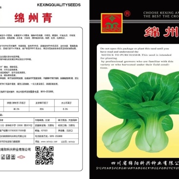 青梗菜种子