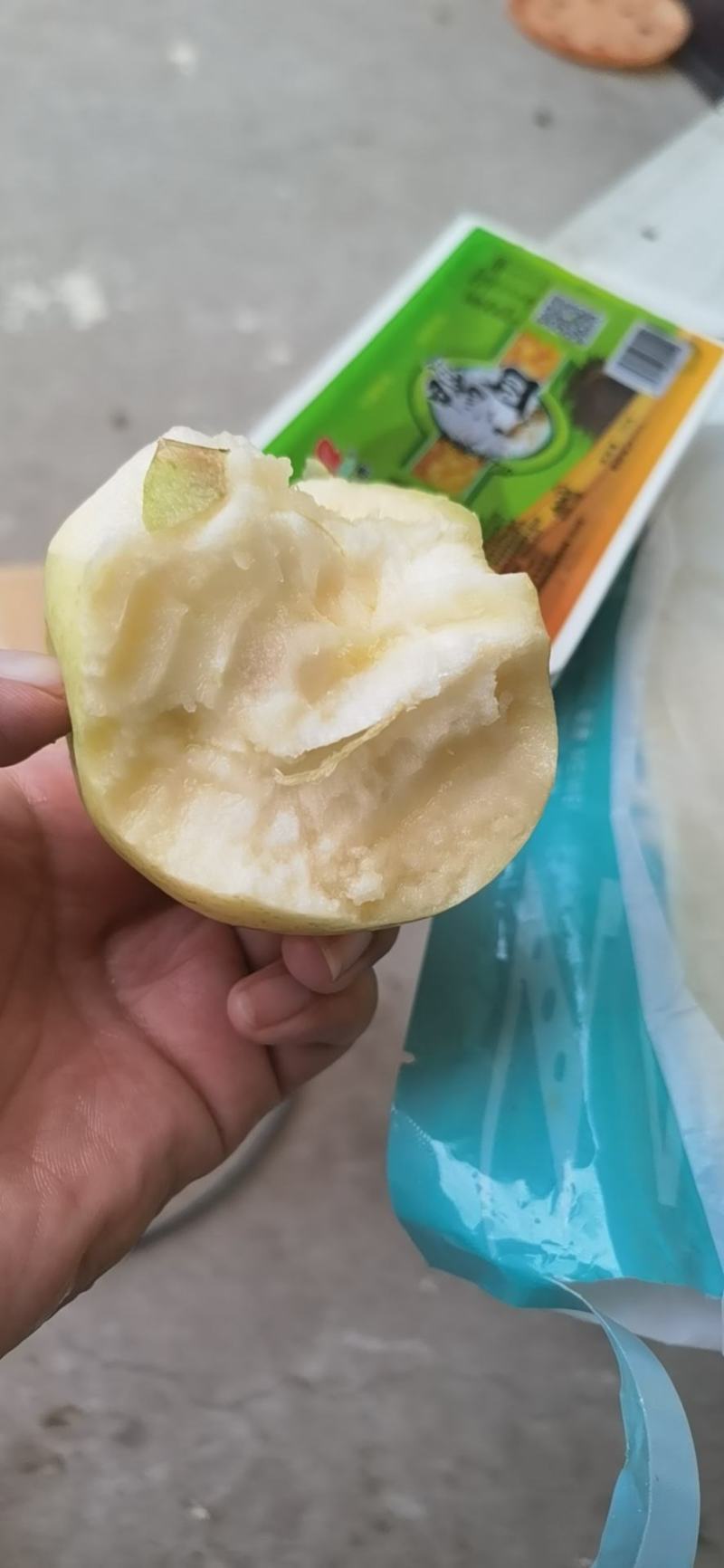 西瓜红红薯