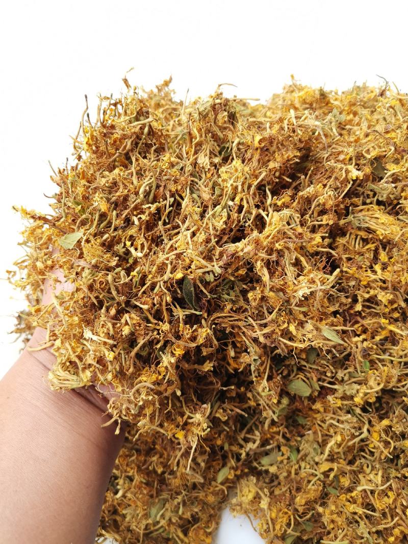 贵州金银花，产地直销规格齐全，一手货源，量大从优