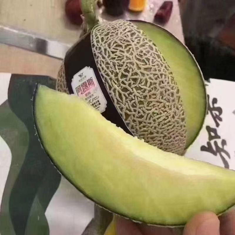 国产新鲜水果批发阿鲁斯蜜瓜纯甜美味
