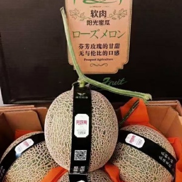 国产新鲜水果批发阿鲁斯蜜瓜纯甜美味