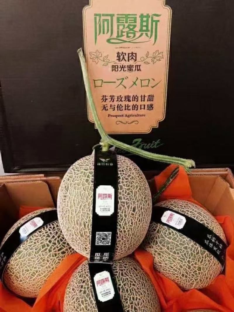 国产新鲜水果批发阿鲁斯蜜瓜纯甜美味