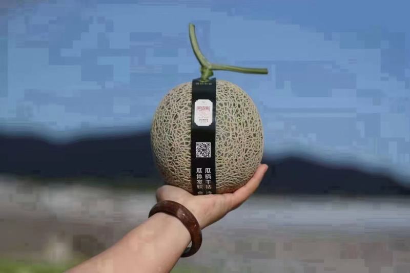 国产新鲜水果批发阿鲁斯蜜瓜纯甜美味