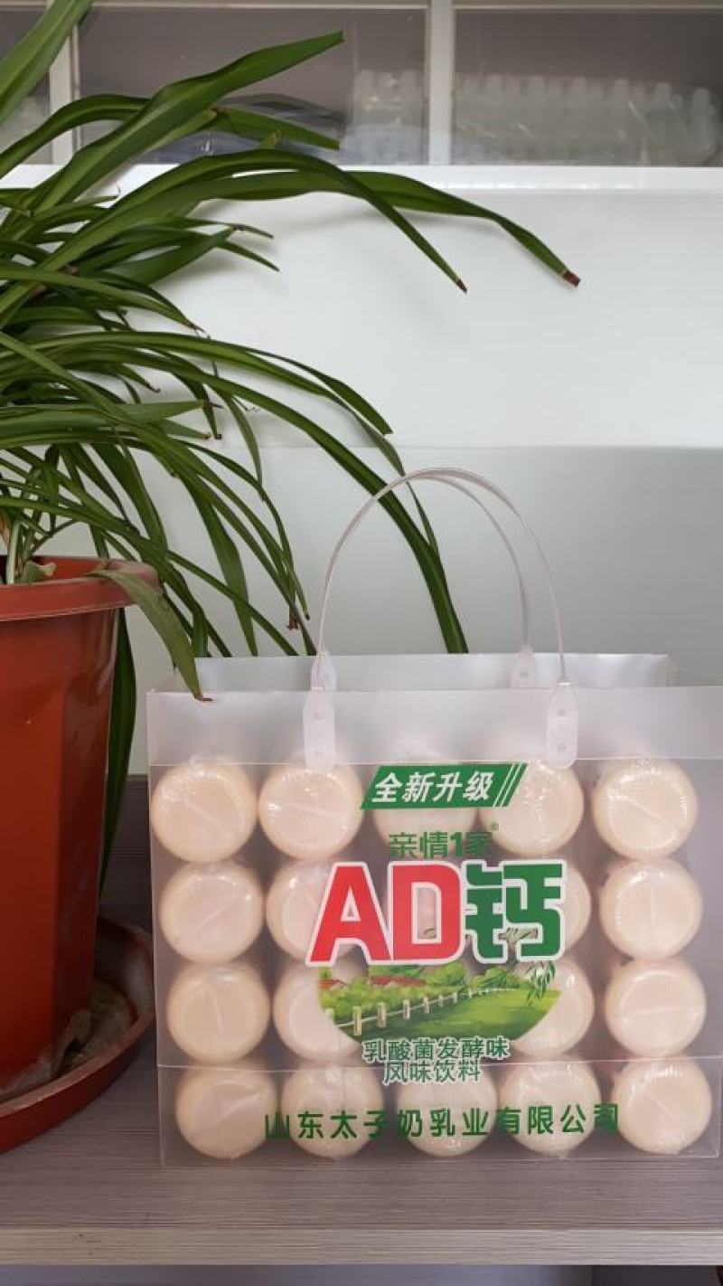 太子奶乳酸100毫升Ad钙，厂家直发，各种乳酸菌全国招代
