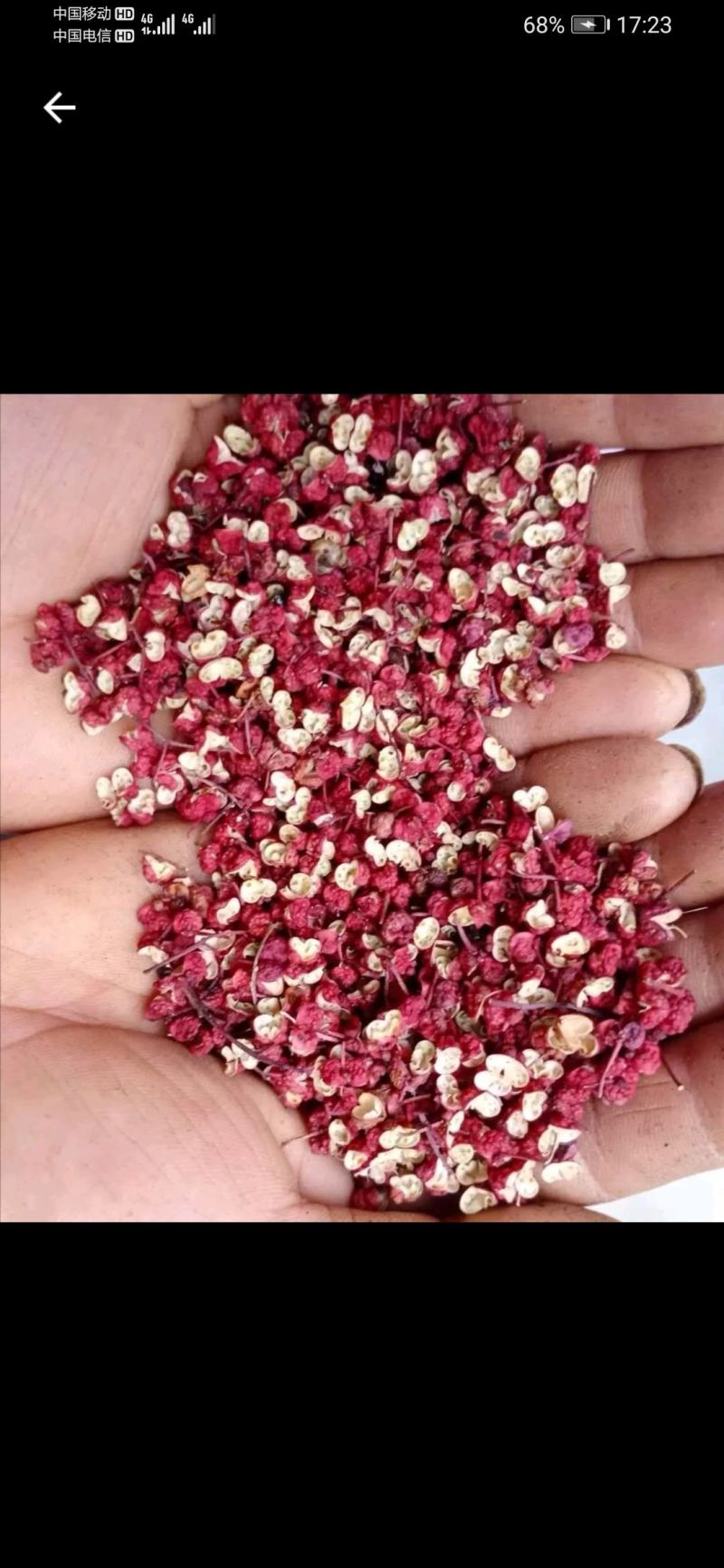 大量上市茂县花椒(全国包邮)
