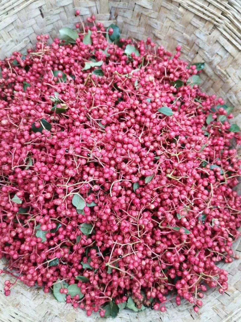 大量上市茂县花椒(全国包邮)