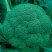 西兰花种籽西兰花种子有机蔬青甘蓝包菜花菜种子青梗花椰菜