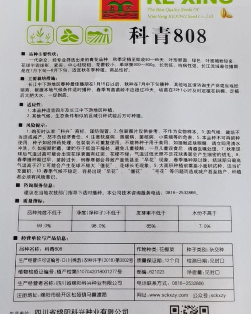 西兰花种籽西兰花种子有机蔬青甘蓝包菜花菜种子青梗花椰菜