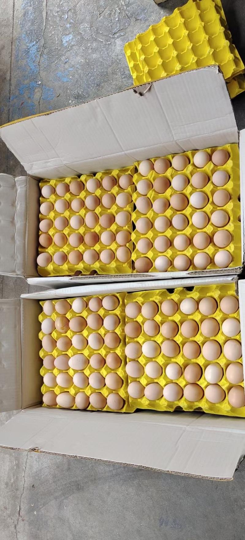 土鸡蛋绿壳蛋农家散养日捡日发口感鲜美30枚50枚