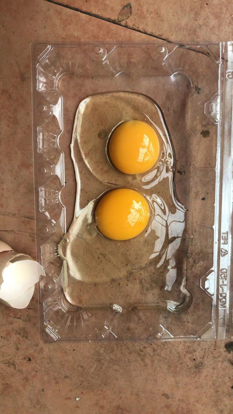 高品质粉壳土鸡蛋农家柴鸡蛋散养原野虫草蛋口感鲜美蛋香醇厚