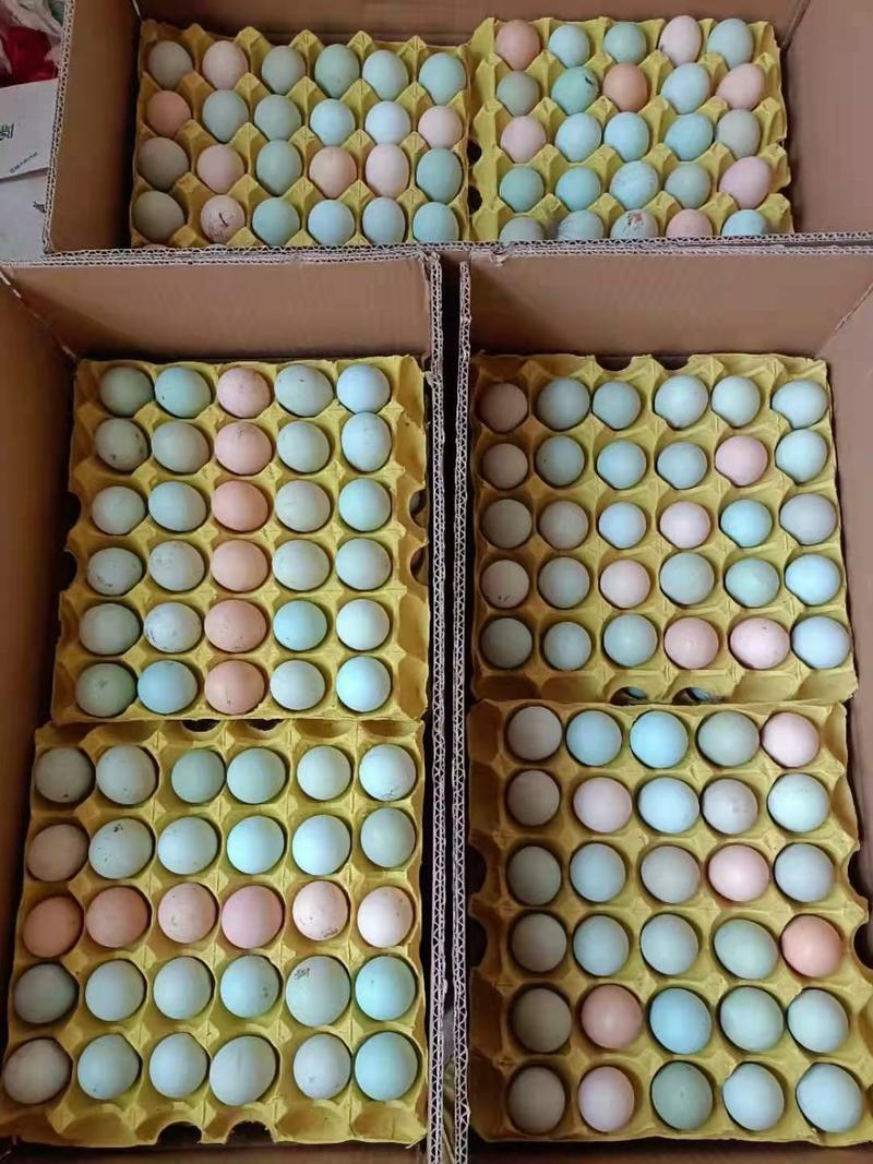 土鸡蛋绿壳蛋农家散养日捡日发口感鲜美30枚50枚