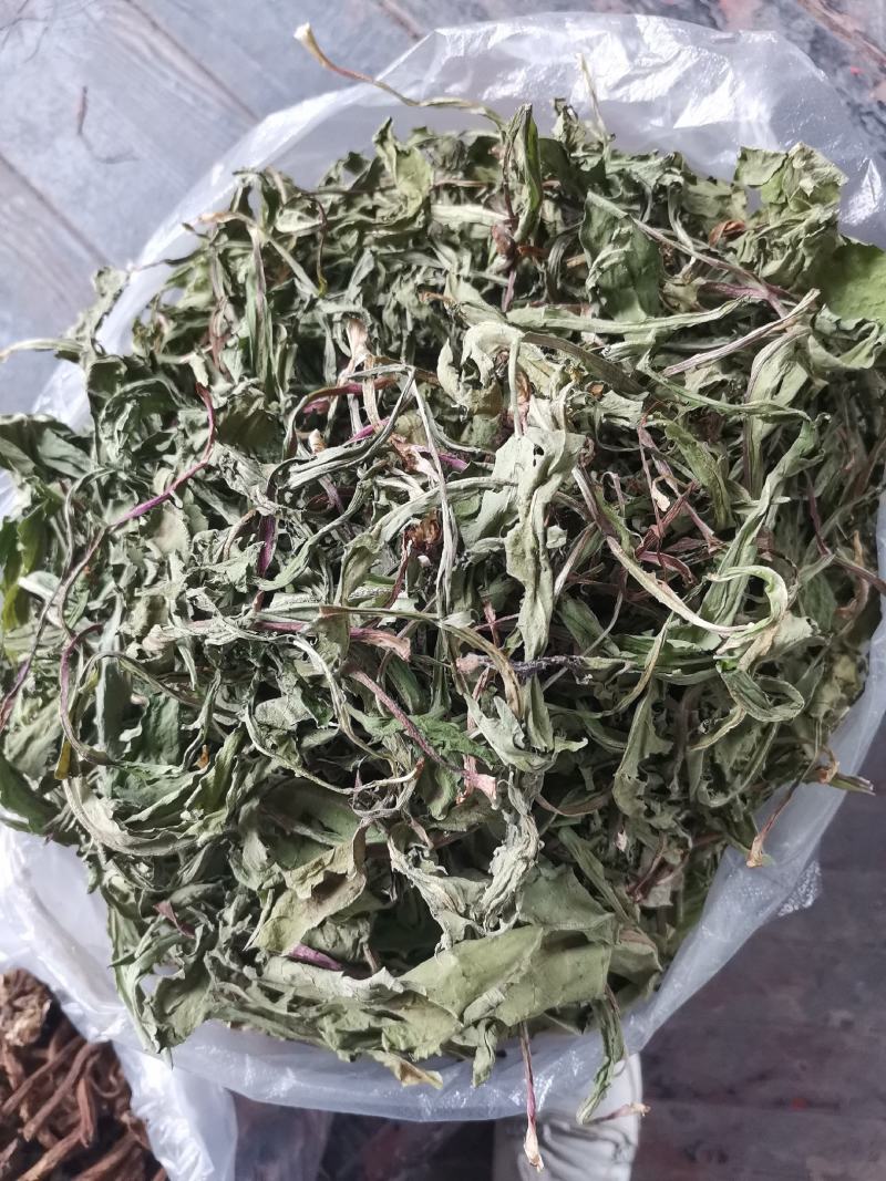 蒲公英茶
