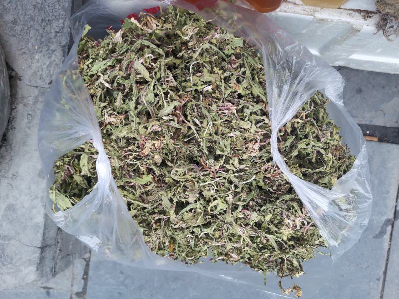 蒲公英茶
