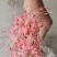野生石蒜，彼岸花各种颜色