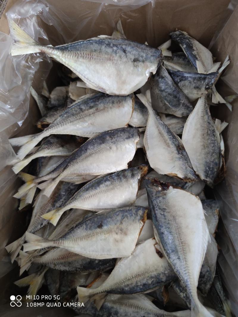 黄尾鱼干巴浪小鱼干咸鱼干货北海海鲜干货肉厚少刺巴浪鱼