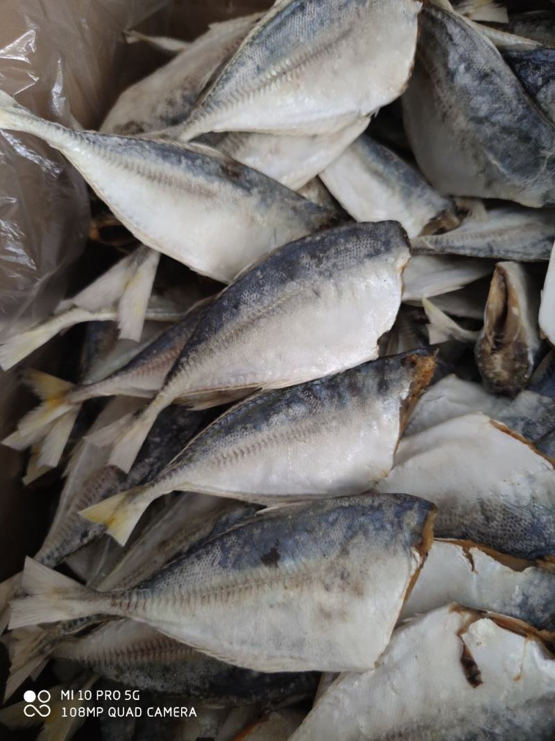 黄尾鱼干巴浪小鱼干咸鱼干货北海海鲜干货肉厚少刺巴浪鱼