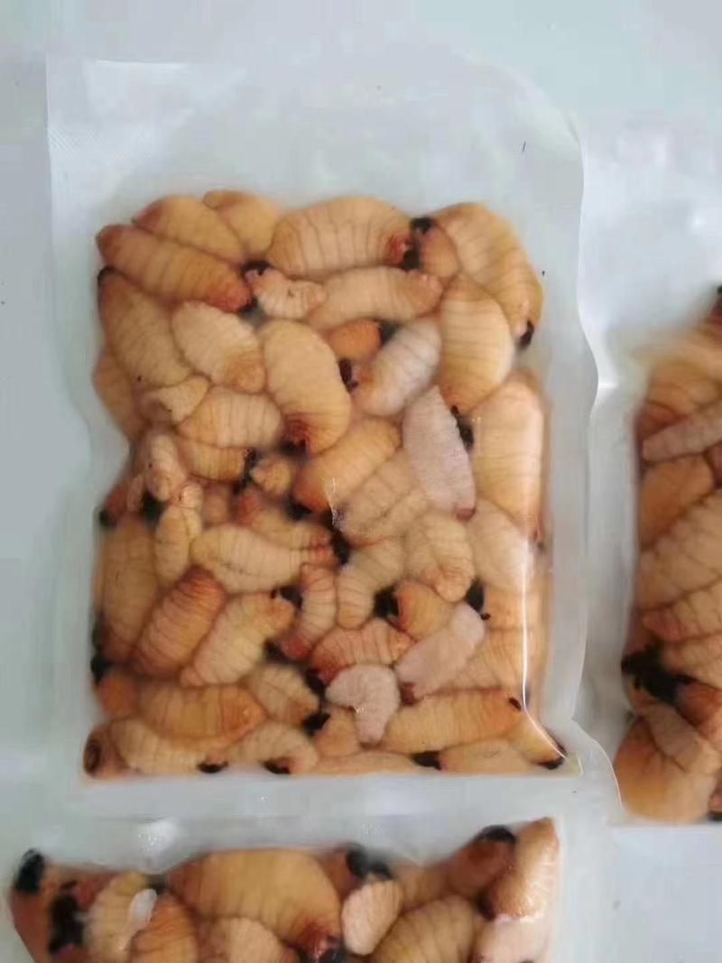 广宁竹虫笋蛆高蛋白当季时鲜特产肥美