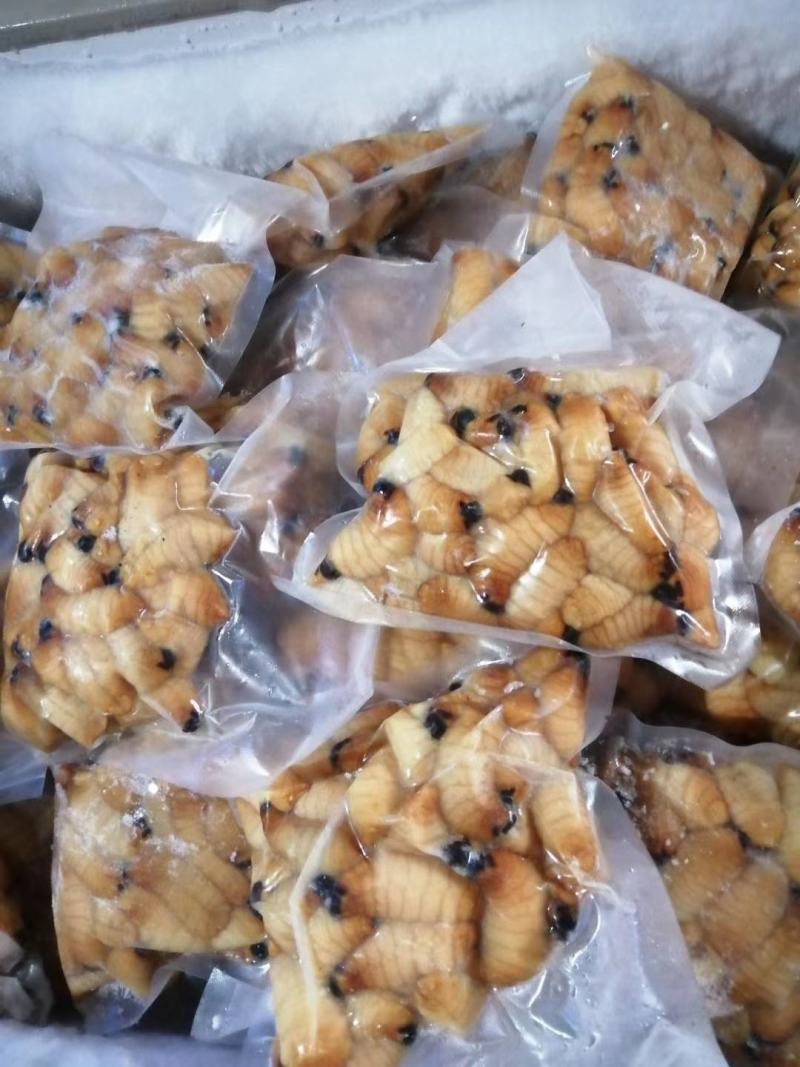 广宁竹虫笋蛆高蛋白当季时鲜特产肥美