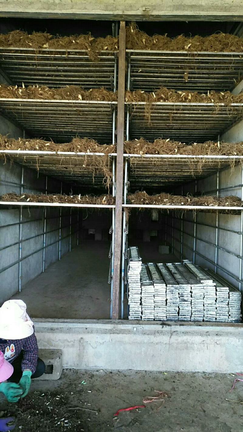 随时可聊原产地直供无杂质重楼品质有保障