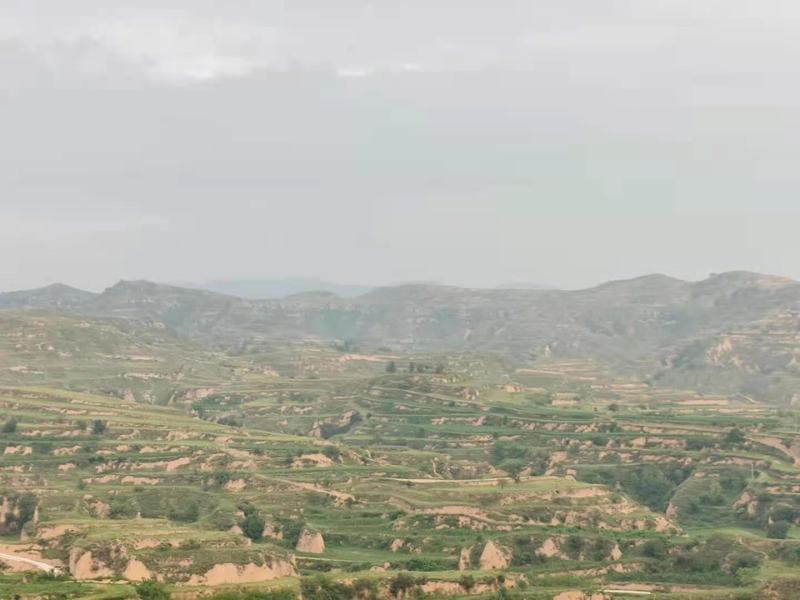 荒山荒坡坡地出租出售