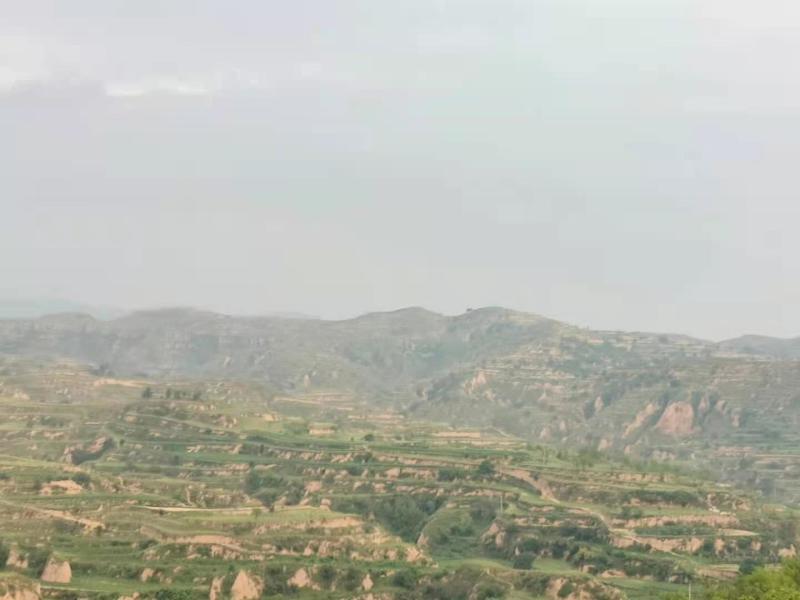 荒山荒坡坡地出租出售