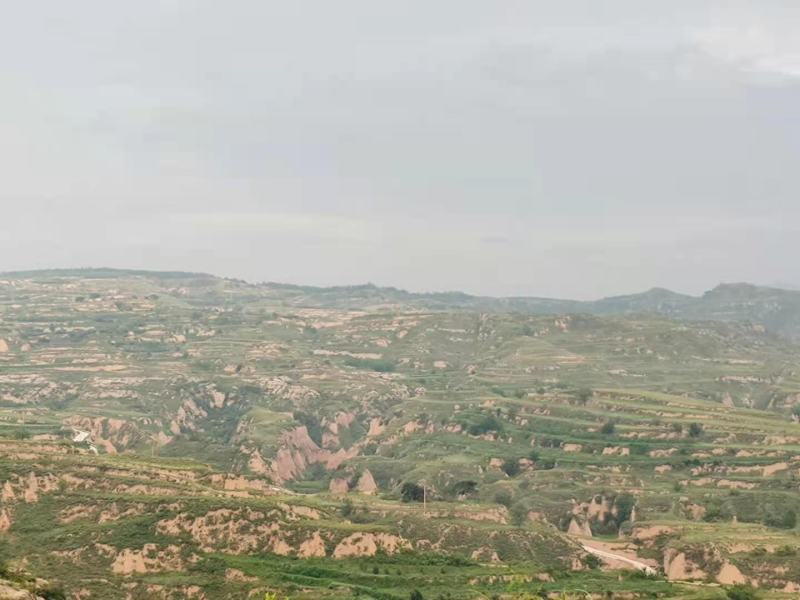 荒山荒坡坡地出租出售
