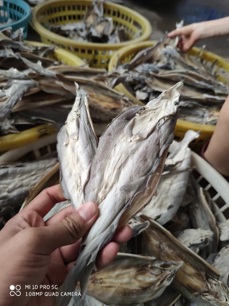 北部湾特产去头鲨鱼片鲨鱼片小鱼干小鲨鱼鱼干货淡晒鲨鱼片