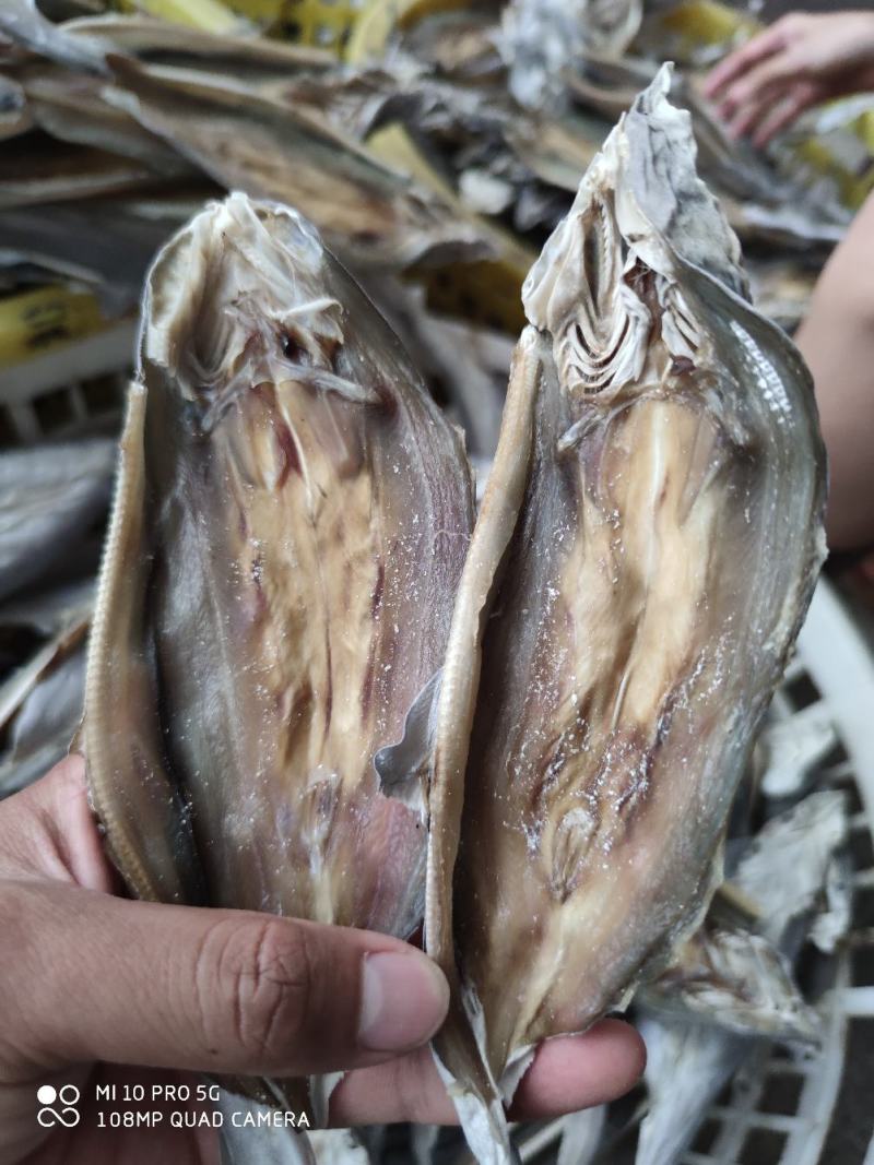 北部湾特产去头鲨鱼片鲨鱼片小鱼干小鲨鱼鱼干货淡晒鲨鱼片
